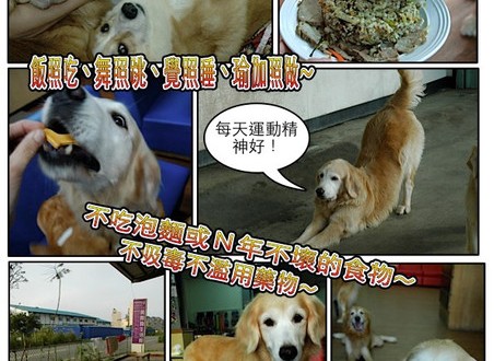 1380943871-3820478301