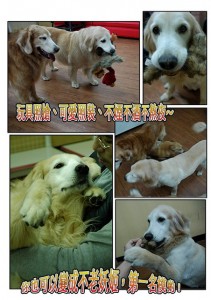 1380943872-1719837839