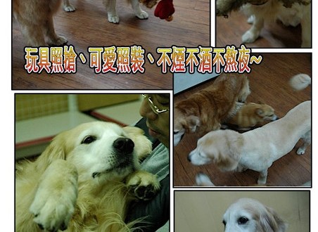 1380943872-1719837839