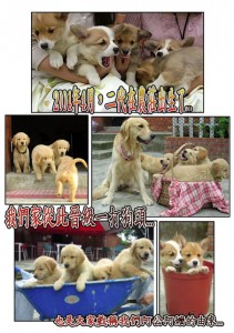 1380943873-116507955