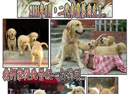 1380943873-116507955