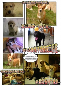 1380943873-3816302221