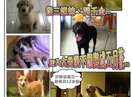 1380943873-3816302221