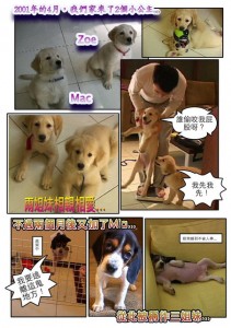 1380943873-4134869782