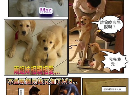 1380943873-4134869782