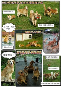 1380943875-1879073309