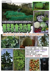 1380943875-3499637106