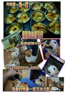 1380943877-1648144760