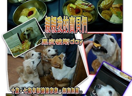 1380943877-1648144760