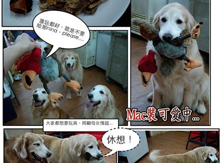 1380943878-1366557974