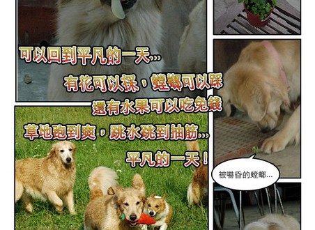 1380943880-2884200888