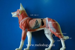 1380943883-1957169705