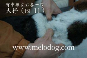 1380943883-2446362856