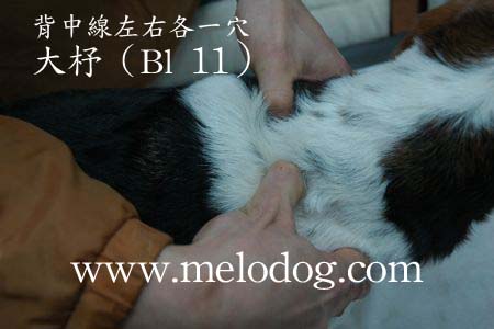 1380943883-2446362856