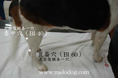 1380943883-441042466