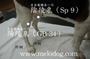 1380943884-2982745874