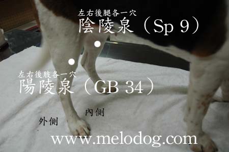 1380943884-2982745874