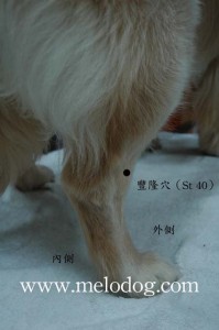 1380943885-1184815621