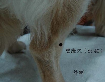 1380943885-1184815621