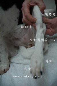 1380943886-416360122