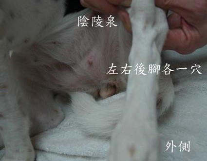 1380943886-416360122