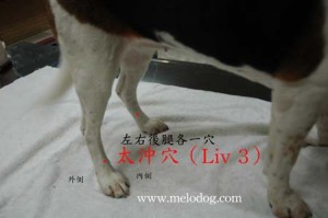 1380943886-826529630