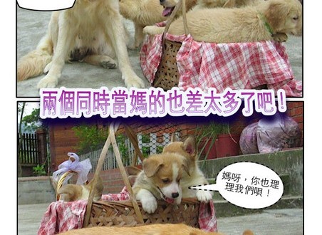 1380943888-2836532881