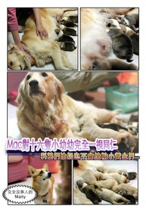 1380943888-3150111213