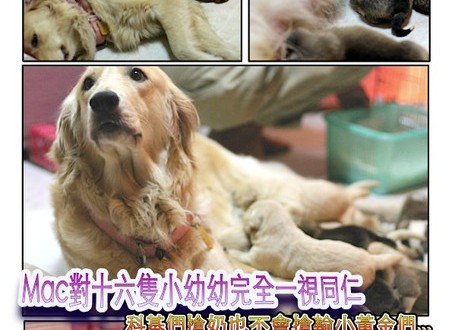 1380943888-3150111213