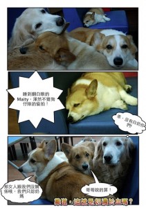 1380943889-1217190681