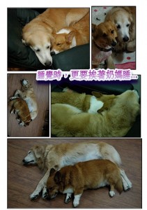 1380943889-1542064044