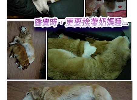 1380943889-1542064044