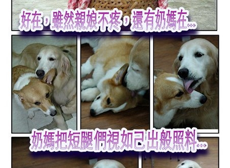 1380943889-3017555973