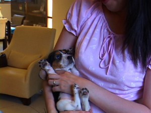 1380943890-1272690100