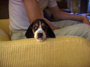 1380943890-4044668839