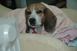 1380943891-2924820764