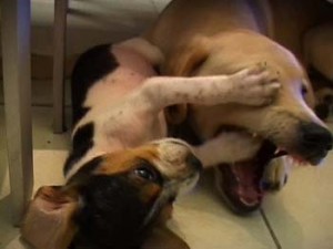 1380943891-3147448330