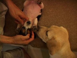 1380943892-2884525627