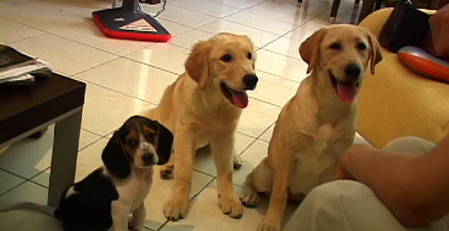 1380943892-3164351427