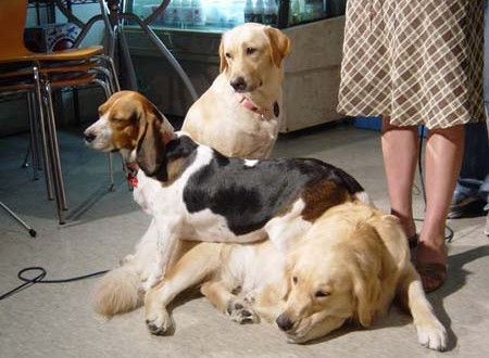 1380943893-4216803922