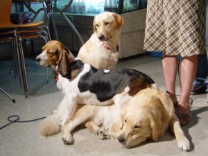 1380943893-4216803922