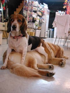 1380943894-2016525683