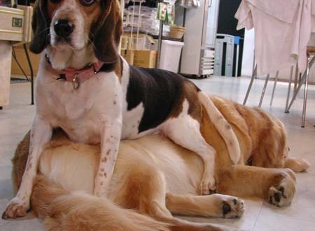 1380943894-2016525683