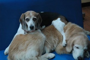 1380943894-3757752240