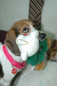 1380943895-4009171448