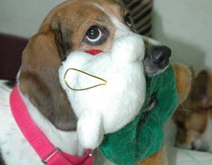 1380943895-4009171448