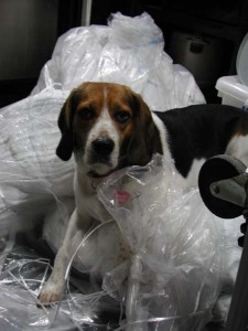 1380943895-4033524910