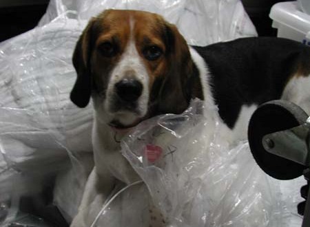 1380943895-4033524910