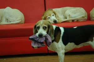 1380943896-3029089426