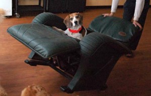 1380943896-3876541184